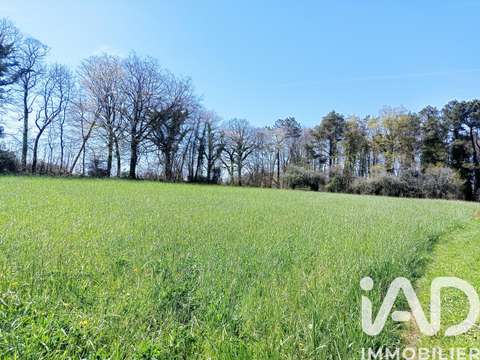 Vente de terrain Camors 56