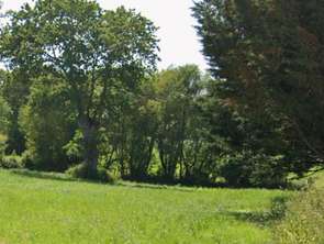 Vente Terrain 1350 m&sup2;Campbon