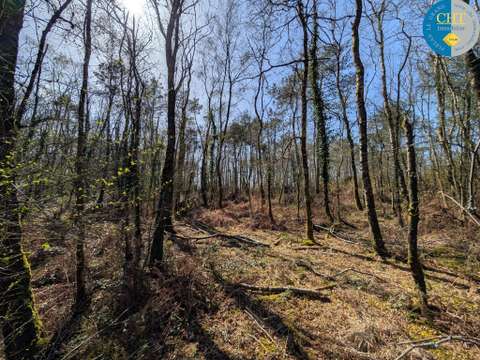 Vente de terrain Campénéac 56