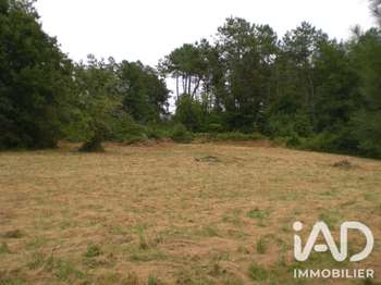 Vente Terrain 5000 m&sup2;Campsegret