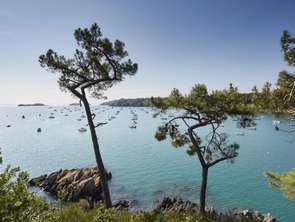 Vente Terrain 434 m&sup2;Cancale