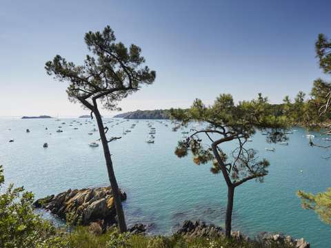 Vente de terrain Cancale 35