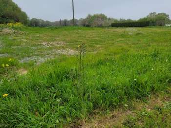 Vente Terrain 415 m&sup2;Cancale