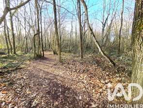 Vente Terrain 22165 m&sup2;Capvern