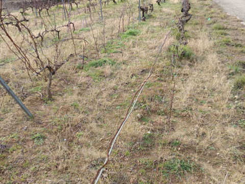 Vente de terrain Caramany 66