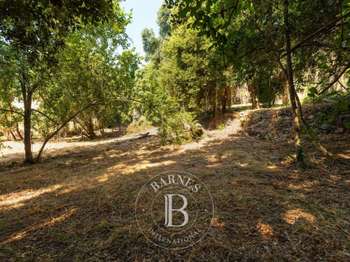 Vente Terrain 4000 m&sup2;Cardo