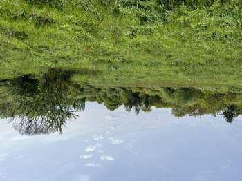 Photo Vente de terrain Cardroc