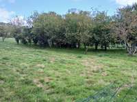 Vente de terrain