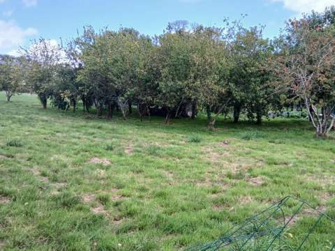 Vente de terrain Carentoir 56