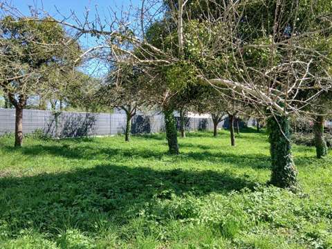 Vente de terrain Carentoir 56