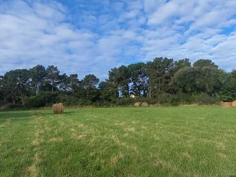 Vente de terrain