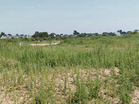 Vente de terrain