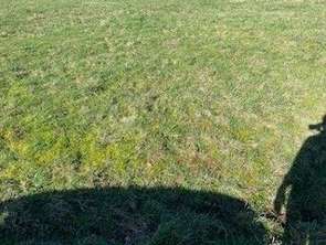 Vente Terrain 515 m&sup2;Carnac