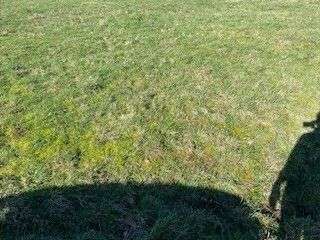 Vente Terrain 515 m&sup2;Carnac