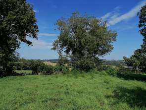 Vente Terrain 800 m&sup2;Caro