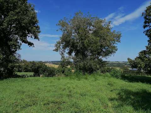 Vente de terrain Caro 56