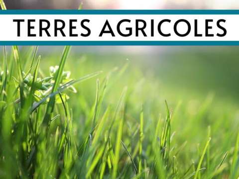 Vente de terrain Carolles 50