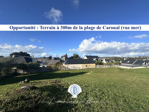Vente de terrain Caroual 22