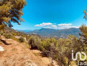 Vente Terrain 1238 m&sup2;Carros
