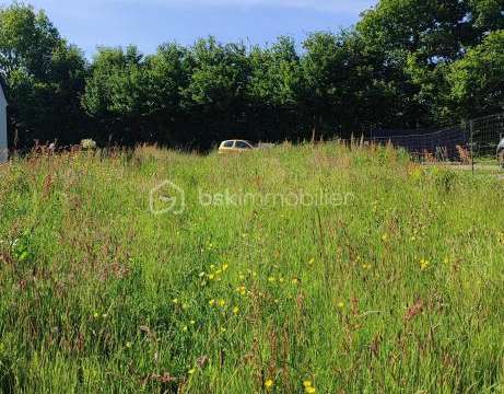 Vente de terrain