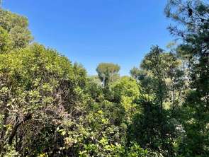 Vente Terrain 1000 m&sup2;Castelnau-le-Lez