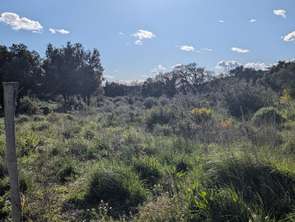 Vente Terrain 4880 m&sup2;Castillon-du-Gard