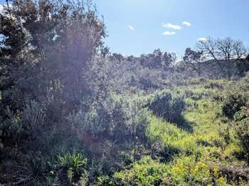 Vente de terrain