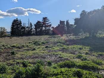 Vente de terrain