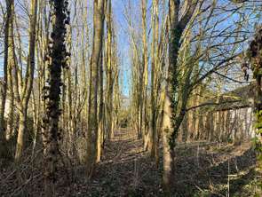 Vente Terrain 2069 m&sup2;Caulnes