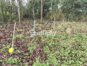 Vente Terrain 1993 m&sup2;Caulnes