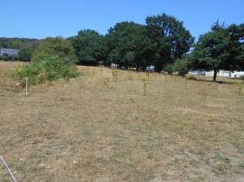 Vente Terrain 2246 m&sup2;Caurel