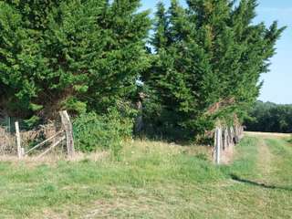 Vente de terrain