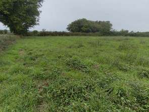 Vente Terrain 4300 m&sup2;Ceaulmont