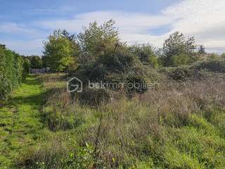 Vente de terrain
