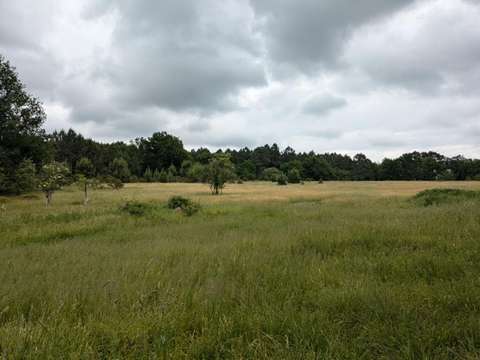Vente de terrain Cercoux 17
