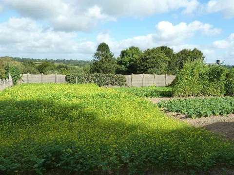 Vente de terrain Cerisy-la-Salle 50