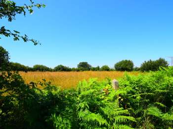 Vente Terrain 18811 m&sup2;Cerisy-la-Salle