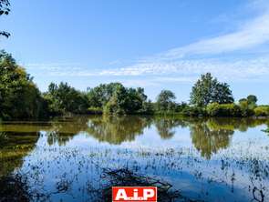 Vente Terrain 17052 m&sup2;Cerizay
