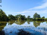 Vente de terrain Cerizay - 79