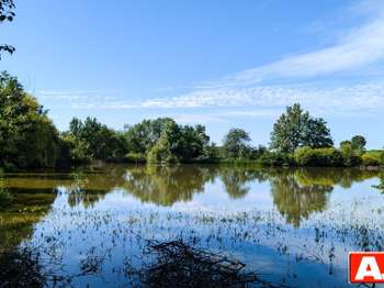Vente Terrain 17052 m&sup2;Cerizay