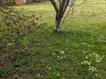 Vente de terrain