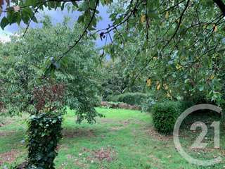Vente de terrain