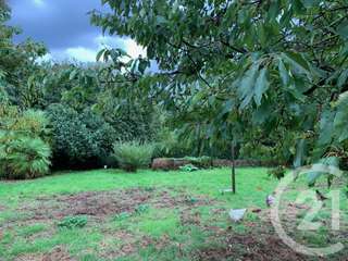 Vente de terrain