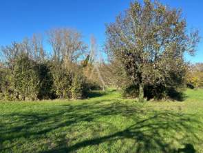 Vente Terrain 1648 m&sup2;Chaillé-les-Marais