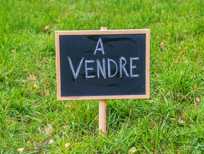 Vente Terrain 3500 m&sup2;Chaillé-sous-les-Ormeaux