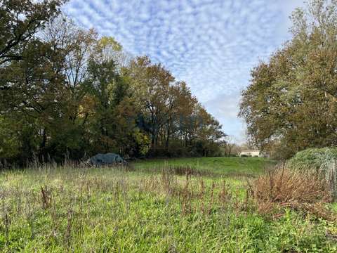 Vente de terrain Chaillé-sous-les-Ormeaux 85