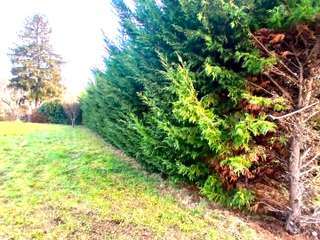 Vente de terrain