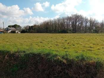 Vente Terrain 366 m&sup2;Challans