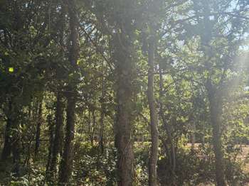 Vente Terrain 1645 m&sup2;Challans