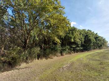 Vente de terrain Challans 85